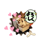 春の気持ちver.3（個別スタンプ：19）