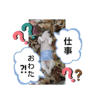 春の気持ちver.3（個別スタンプ：21）