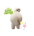 ぼんの毎日（個別スタンプ：3）