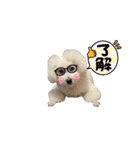 ぼんの毎日（個別スタンプ：7）