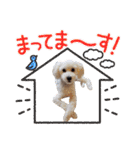 ぼんの毎日（個別スタンプ：9）