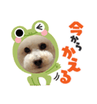 ぼんの毎日（個別スタンプ：23）