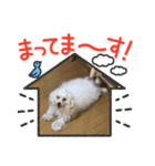 ノアノア3号（個別スタンプ：2）