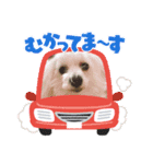 ノアノア3号（個別スタンプ：8）
