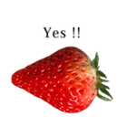 いちご Strawberry と えいご English（個別スタンプ：15）