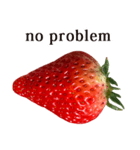 いちご Strawberry と えいご English（個別スタンプ：20）
