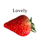 いちご Strawberry と えいご English（個別スタンプ：38）