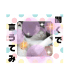はるくんの連絡（個別スタンプ：4）