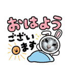 はるくんの連絡（個別スタンプ：5）