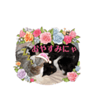 はるくんの連絡（個別スタンプ：6）
