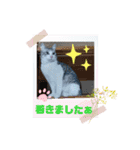 はるくんの連絡（個別スタンプ：8）