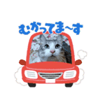 はるくんの連絡（個別スタンプ：10）