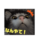 はるくんの連絡（個別スタンプ：14）