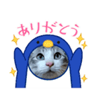 はるくんの連絡（個別スタンプ：16）