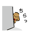 毎日使えるトイプードル［丁寧]（個別スタンプ：19）