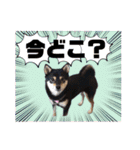こうめパート2（個別スタンプ：4）