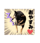 こうめパート2（個別スタンプ：9）