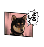 こうめパート2（個別スタンプ：11）