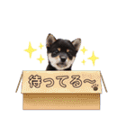 こうめパート2（個別スタンプ：15）