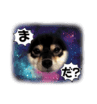 こうめパート2（個別スタンプ：17）
