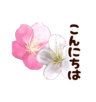 長く動き回る可愛い桜のお花（個別スタンプ：2）
