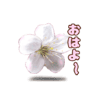長く動き回る可愛い桜のお花（個別スタンプ：3）