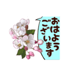 長く動き回る可愛い桜のお花（個別スタンプ：5）