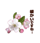 長く動き回る可愛い桜のお花（個別スタンプ：11）