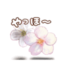 長く動き回る可愛い桜のお花（個別スタンプ：14）