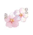 長く動き回る可愛い桜のお花（個別スタンプ：17）