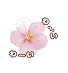 長く動き回る可愛い桜のお花（個別スタンプ：22）