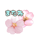長く動き回る可愛い桜のお花（個別スタンプ：23）