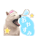 あずき♀（個別スタンプ：2）