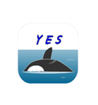 毎日使用クジラやサメの泳ぐスタンプ（個別スタンプ：11）