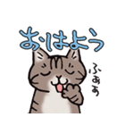 反応する猫（個別スタンプ：2）