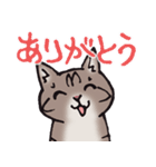 反応する猫（個別スタンプ：3）