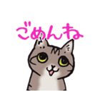 反応する猫（個別スタンプ：4）