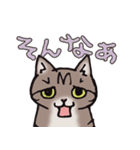 反応する猫（個別スタンプ：9）