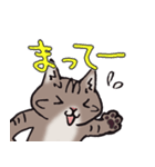 反応する猫（個別スタンプ：13）