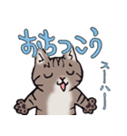 反応する猫（個別スタンプ：14）