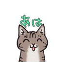 反応する猫（個別スタンプ：16）