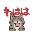 反応する猫（個別スタンプ：17）