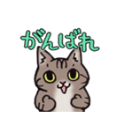 反応する猫（個別スタンプ：22）