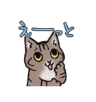 反応する猫（個別スタンプ：23）