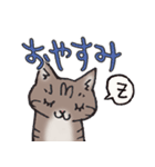 反応する猫（個別スタンプ：24）