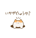 ねこのぽんぽ（個別スタンプ：22）