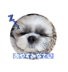むーちゃんらーちゃんスタンプ♡（個別スタンプ：10）