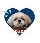 むーちゃんらーちゃんスタンプ♡（個別スタンプ：16）