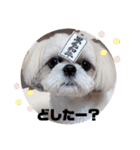 むーちゃんらーちゃんスタンプ♡（個別スタンプ：20）