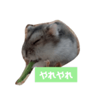 まめちゃんの幸せな毎日（個別スタンプ：3）